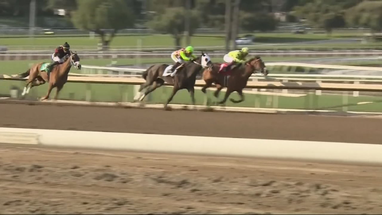 Horseracing at Santa Anita track